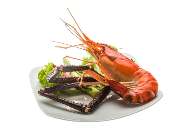 Langostino gigante de agua dulce — Foto de Stock