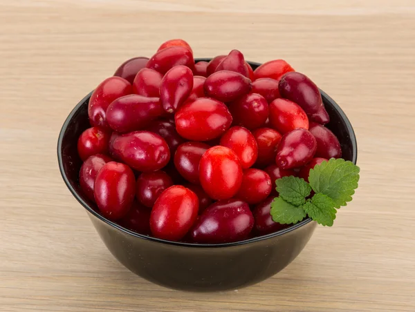 Cornus berries — Stock Photo, Image