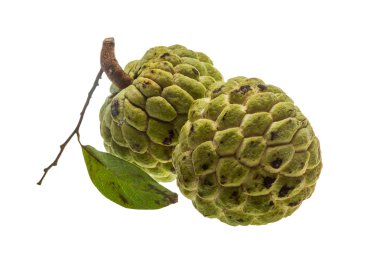 Noni meyve