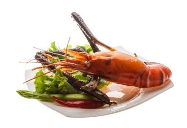 dev tatlı su karides