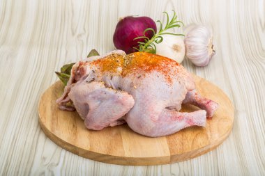çiğ tavuk