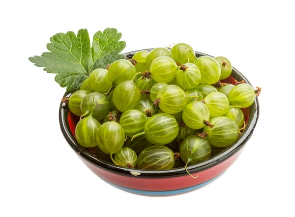 Gooseberry hijau — Stok Foto