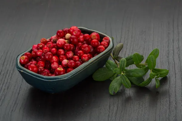 Cowberry in the bowl — Stock Photo, Image