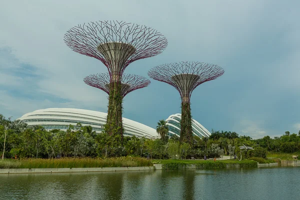 Trädgårdar vid bukten i Singapore. — Stockfoto