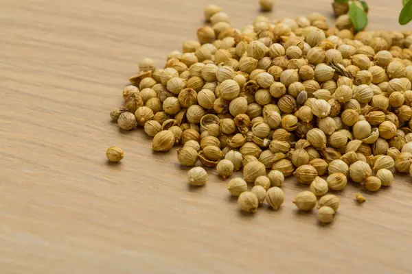 Coriander seeds — Stock Photo, Image