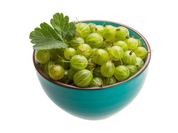 Gooseberry hijau — Stok Foto