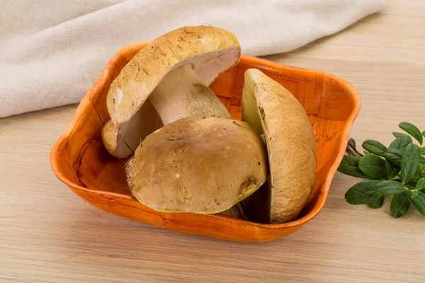 Boletus mushroom — Stock Photo, Image