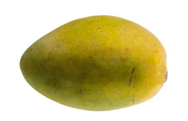 Mogen mango — Stockfoto