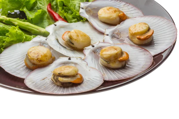 Grilled scallops — Stock Photo, Image