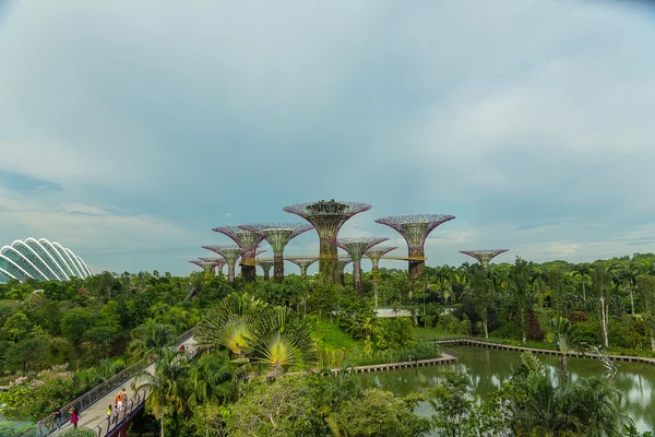 Gardens By The Bay in Singapur. — Stockfoto