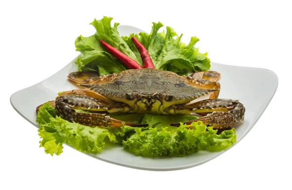 Raw crab — Stock Photo, Image