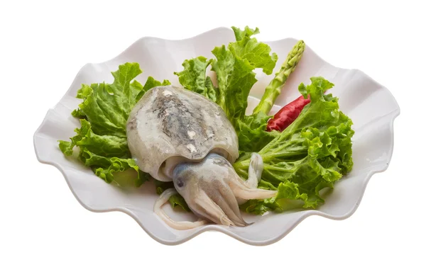 Crustáceos — Fotografia de Stock