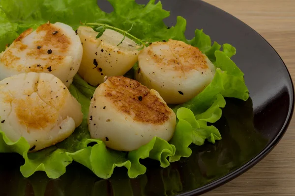 Jakobsmuscheln vom Grill — Stockfoto