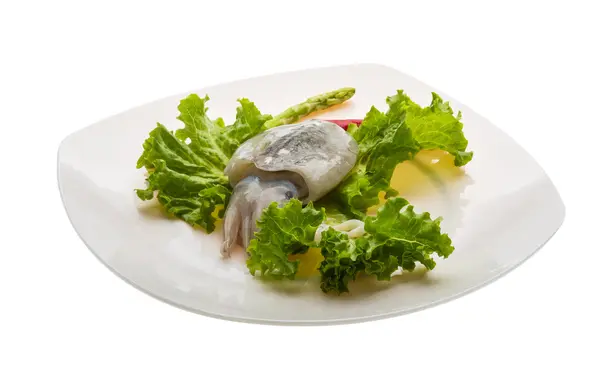 Raw cuttlefish — Stock Photo, Image