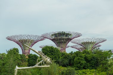 Singapur Körfezi 'ndeki Bahçeler.