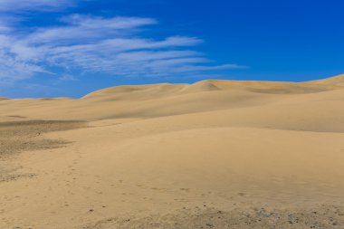 Maspalomas Duna