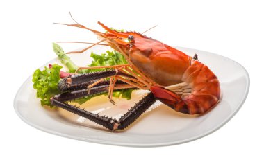 dev tatlı su karides