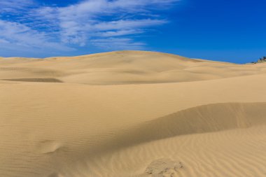 Maspalomas Duna
