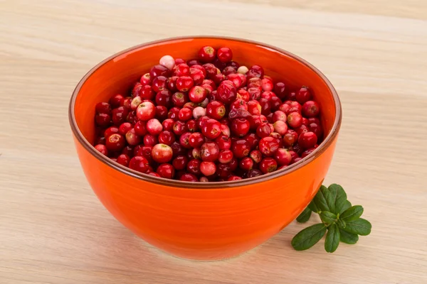 Cowberry — Stock Photo, Image