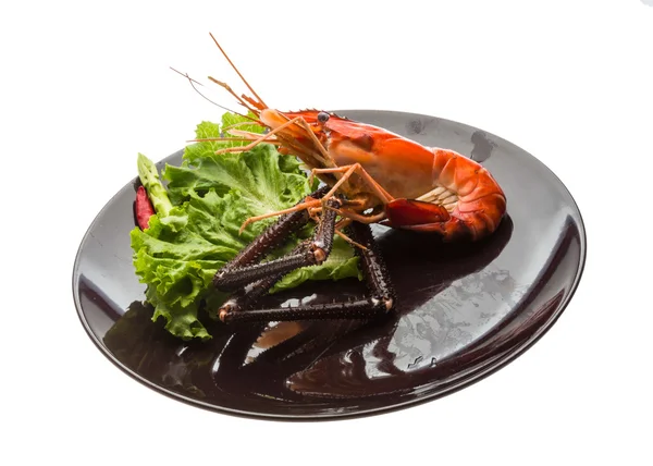 Giant Freshwater Prawn — Stock Photo, Image