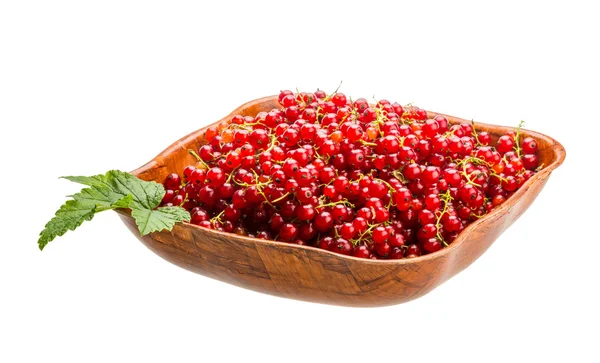 Red currant — Stock Photo, Image