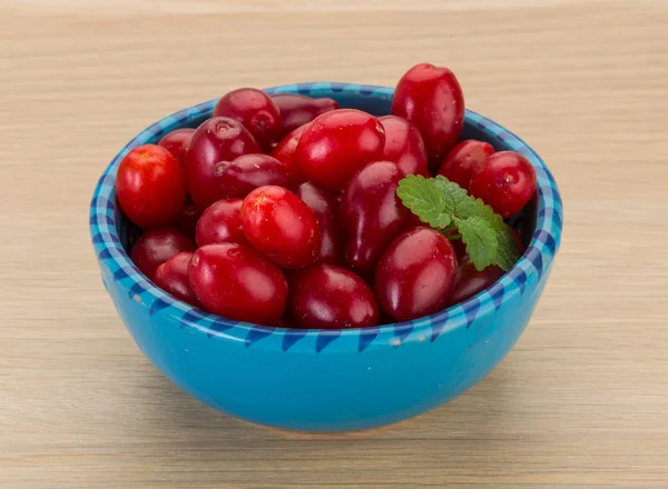 Cornus berries — Stock Photo, Image