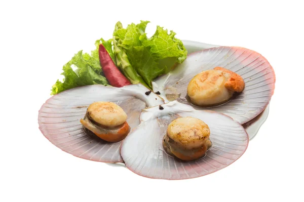 Grilled scallops — Stock Photo, Image