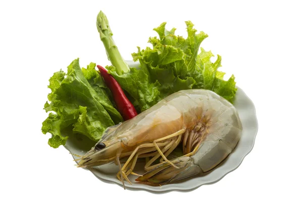 Langostino tigre — Foto de Stock