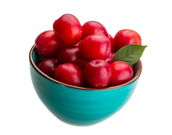 Damson plum — Stock Photo, Image