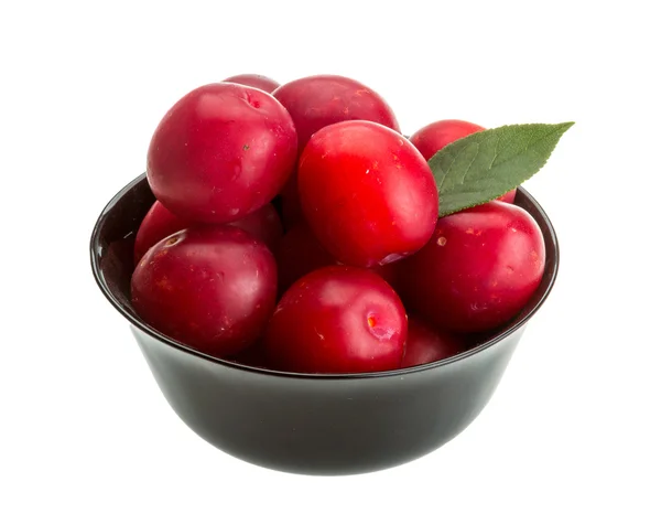 Ciruela de Damson — Foto de Stock