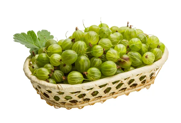 Gooseberry — Stok Foto