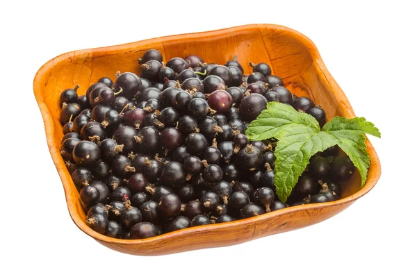 Black currant — Stock Photo, Image