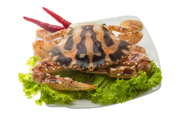 Red crab — Stock Photo, Image