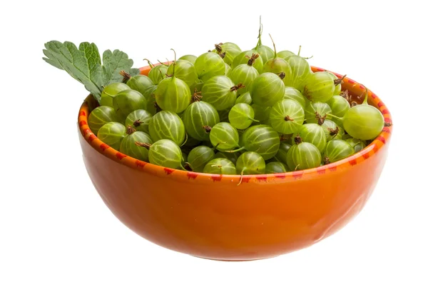 Gooseberries — Stock Photo, Image