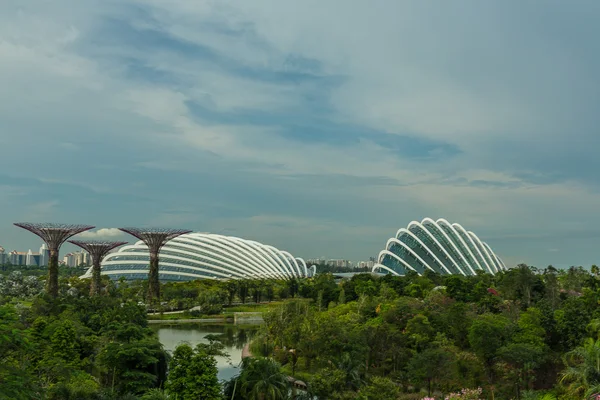 Singapur Körfezi 'ndeki Bahçeler. — Stok fotoğraf