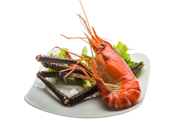 Langostino gigante de agua dulce — Foto de Stock