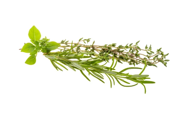 Fresh aroma herbs — Stock Photo, Image