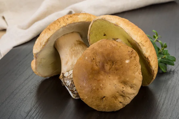 Boletus mushroom — Stock Photo, Image