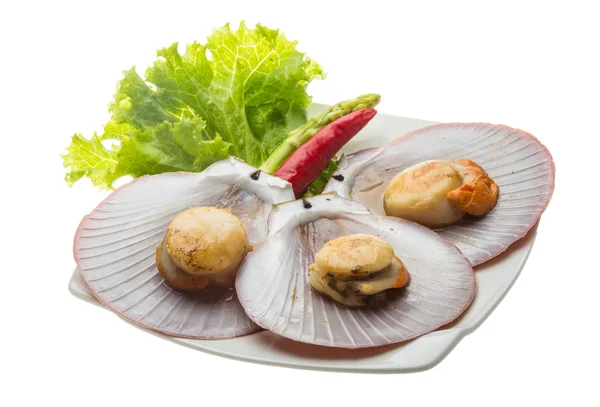 Grilled scallops — Stock Photo, Image