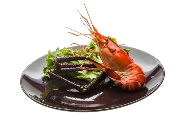 Giant Freshwater Prawn — Stock Photo, Image