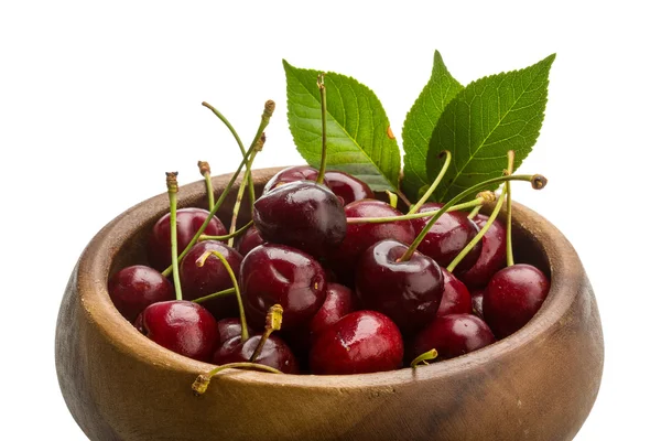 Gean - cherry — Stockfoto