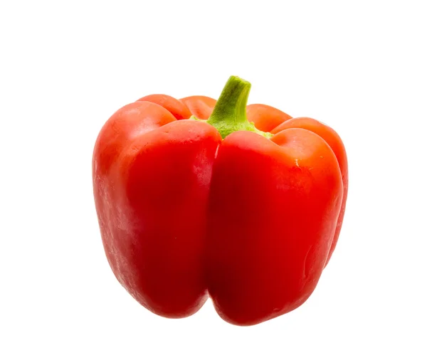 Red bulgarian pepper — Stock Photo, Image