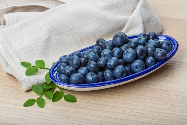 Blueberry — Stock Photo, Image