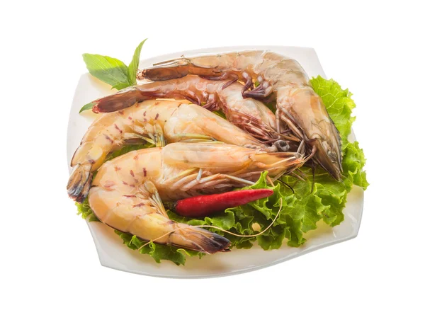 King Prawn — Stock fotografie