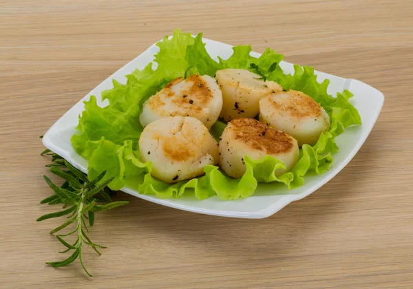 Grilled scallops — Stock Photo, Image