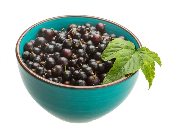 Black currant — Stock Photo, Image