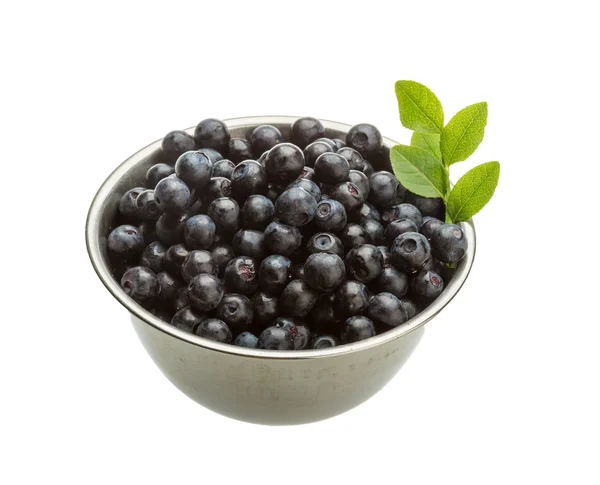 Blueberry — Stock Photo, Image