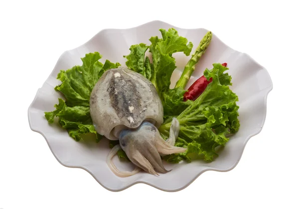 Cuttlefish crud — Fotografie, imagine de stoc