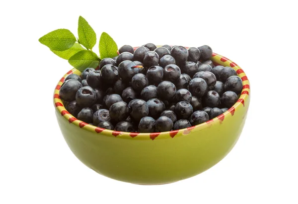 Blueberry — Stock Photo, Image