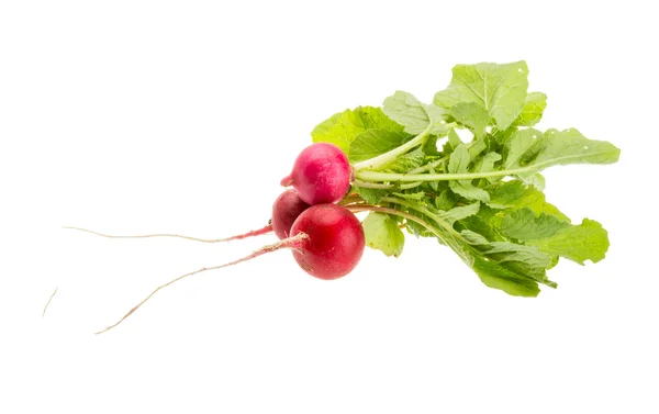 Fresh radish — Stock Photo, Image